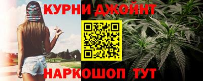 гашик Бузулук