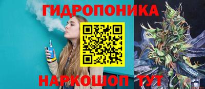 гашик Бузулук