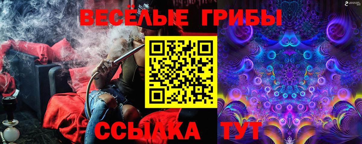 Галлюциногенные грибы прущие грибы  магазин продажи   Тихорецк  Вход с VPN 